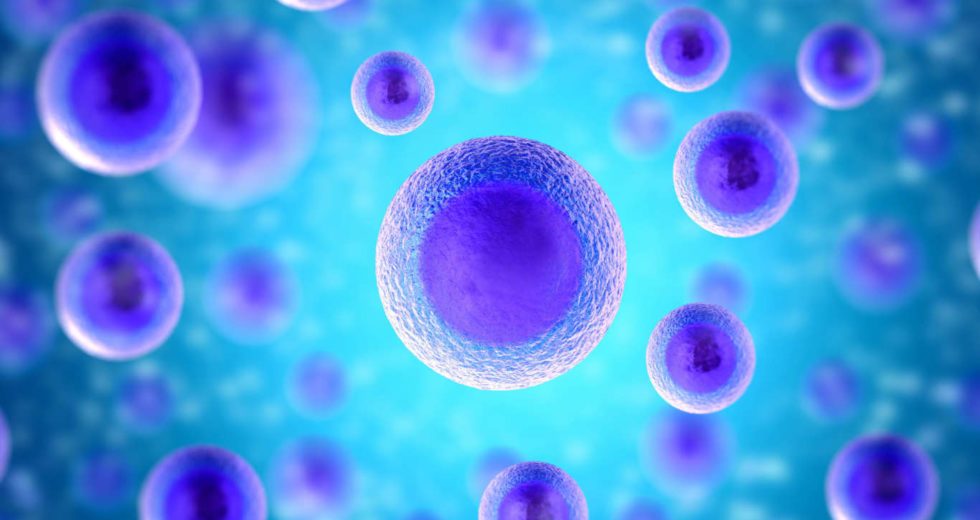 Human Cells Communicate At A Molecular Level Using Sugars