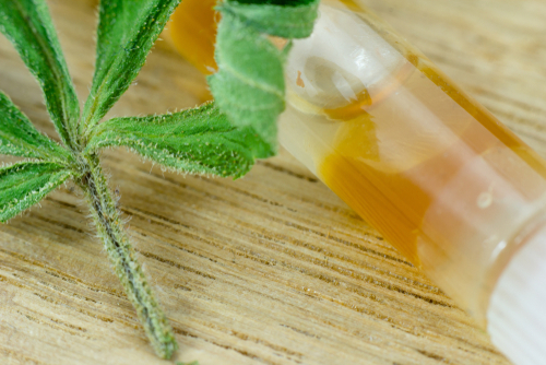 How Pure CBD Oil Helps Relieve Muscle Pain: Your Inside Guide