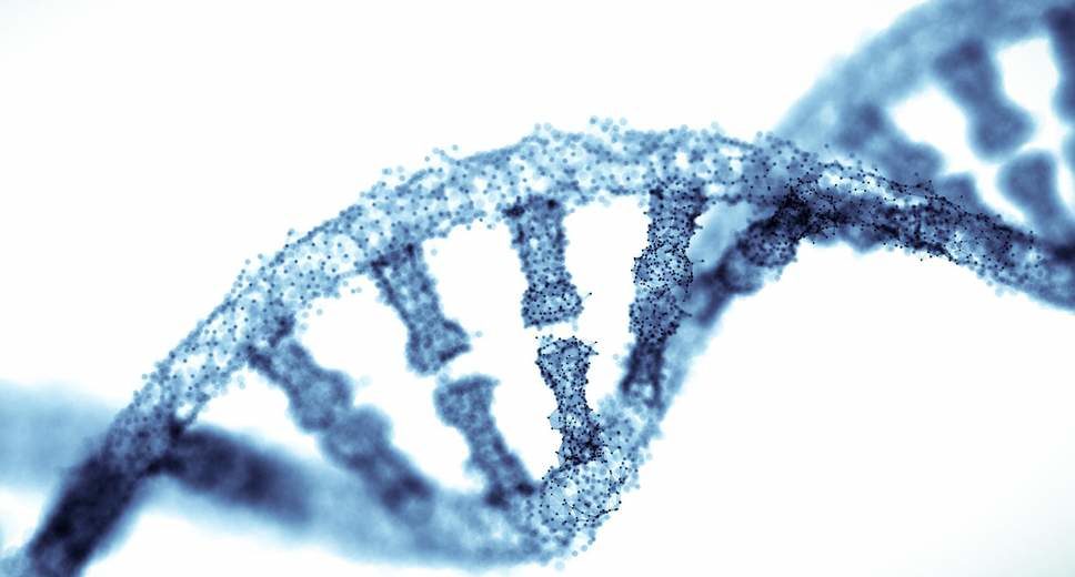 Junk DNA Section Controls A Switch That Could Help Humans Regrow Limbs