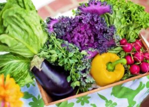 Motivation Is The Key Factor In Diet And Nutrition, New Study Shows