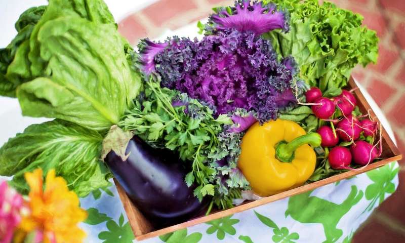 Motivation Is The Key Factor In Diet And Nutrition, New Study Shows