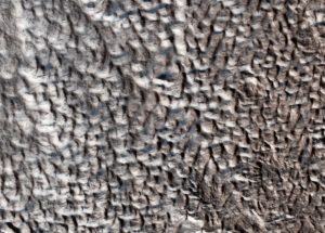 NASA Discovered Mysterious Mars Surface With Strange Brain-Like Texture