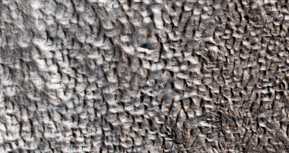 NASA Discovered Mysterious Mars Surface With Strange Brain-Like Texture