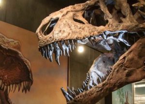 This T-Rex Is the Largest Specimen Ever Known, And Scientists Found It In Saskatchewan