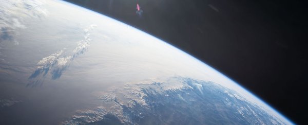 The Remains of Pikachu Cat Will Be Sent to Space