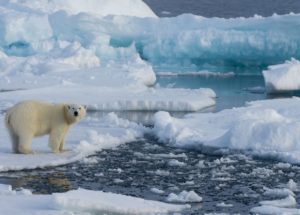 Air Temperatures Are Guilty Of Most Changes In The Arctic System