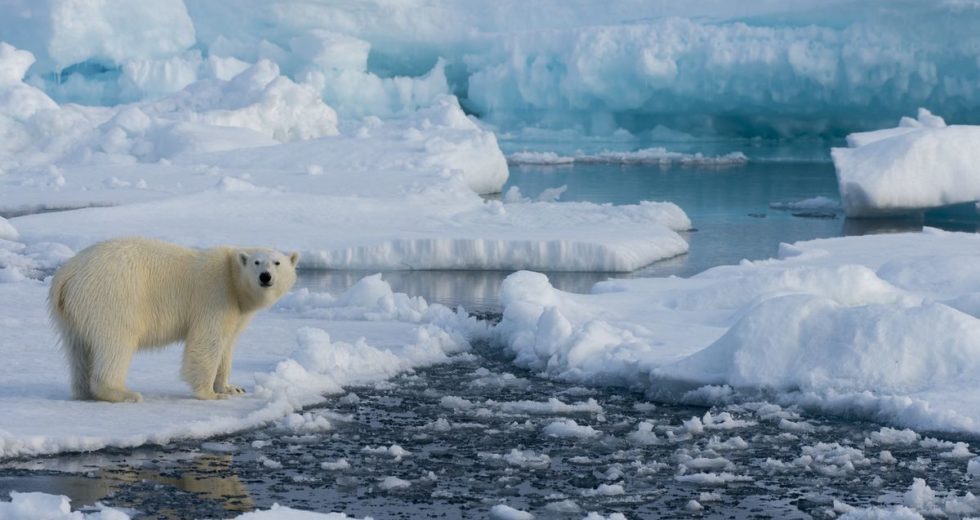 Air Temperatures Are Guilty Of Most Changes In The Arctic System