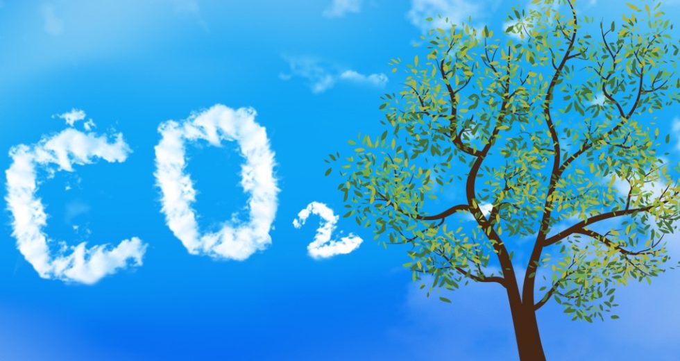 Microbes Store Millions of Tons of Carbon Dioxide