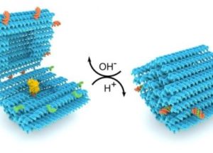 Researchers Created a New Drug Delivery Method