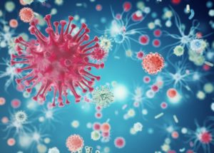 New Viruses Discovered on the Bottom of the Sea