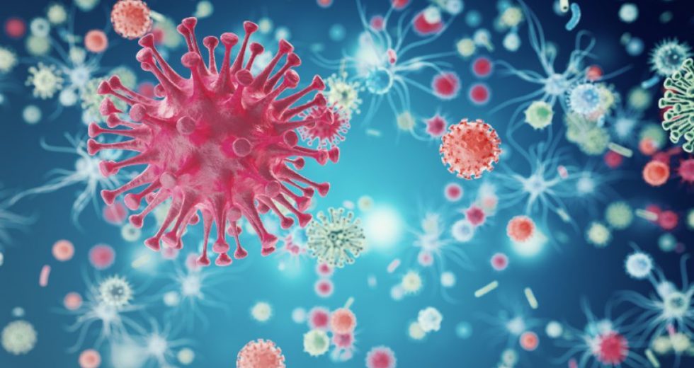 New Viruses Discovered on the Bottom of the Sea