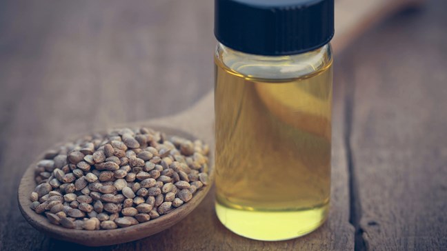 Why CBD Is Becoming Very Popular