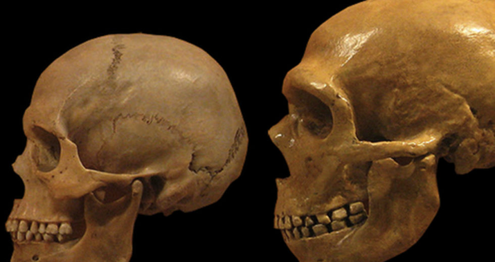Ancient Human Fossil Suggests That The Ancestor Of Modern Humans Did Not Emerge In South Africa