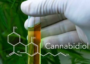 Cannabidiol Could Be Used as a Heroin Addiction Treatment