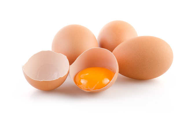Egg Consumption Will Not Increase the Stroke Risk, a New Study Concluded