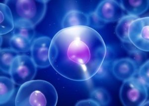 New Experiment Studies Nanoceria’s Effects On Human Cells In Space