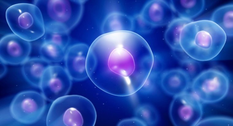 New Experiment Studies Nanoceria’s Effects On Human Cells In Space