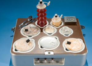 NASA Experiment Might Increase Space Food Diversity For Future Space Missions