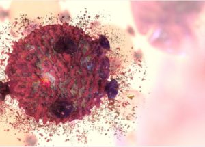 Researchers Filmed The Immune System Killing Bacteria