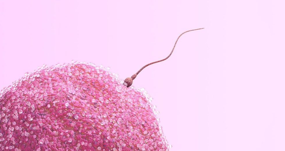 Debunked: Most Popular Infertility Myths That Need to End Today
