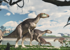 Opal-Encrusted Fossils Reveal a New Species of Australian Dinosaur