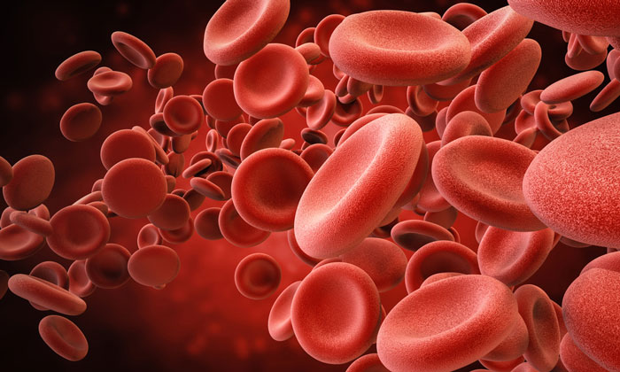 Scientists Spotted Two Enzymes That Convert Blood Type A To Type 0