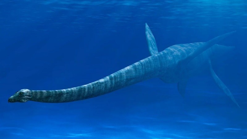 Ancient Aquatic Reptile Found In Antarctica By Argentine Researchers