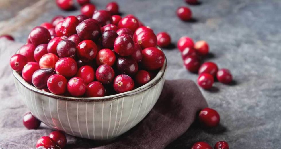Cranberry Extract Fights Antibiotic-Resistant Bacteria, New Research Finds Out