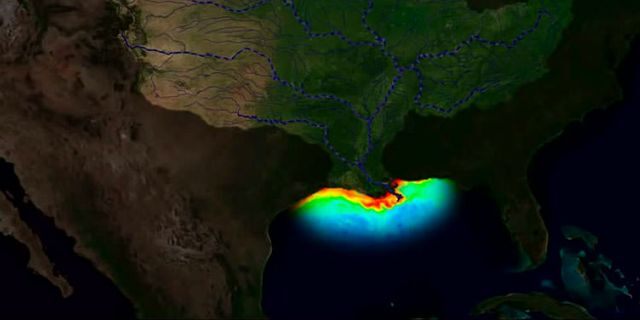 Dead Zone of the Gulf of Mexico to Get Larger Than Ever During This Summer