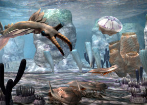 Global Tectonic Plates Triggered ‘Cambrian Explosion’