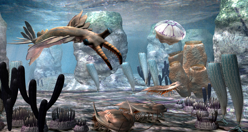 Global Tectonic Plates Triggered ‘Cambrian Explosion’