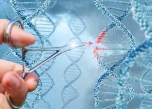 Russians Plan To Create CRISPR-edited Human Embryos