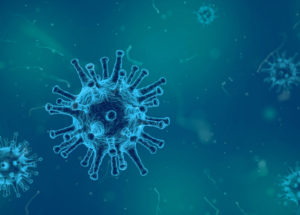 Viruses In The Oceans Present Interesting Traits, New Research Revealed
