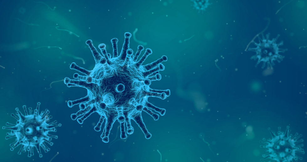 Viruses In The Oceans Present Interesting Traits, New Research Revealed