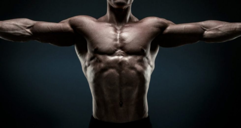 How Does SARMs Work?