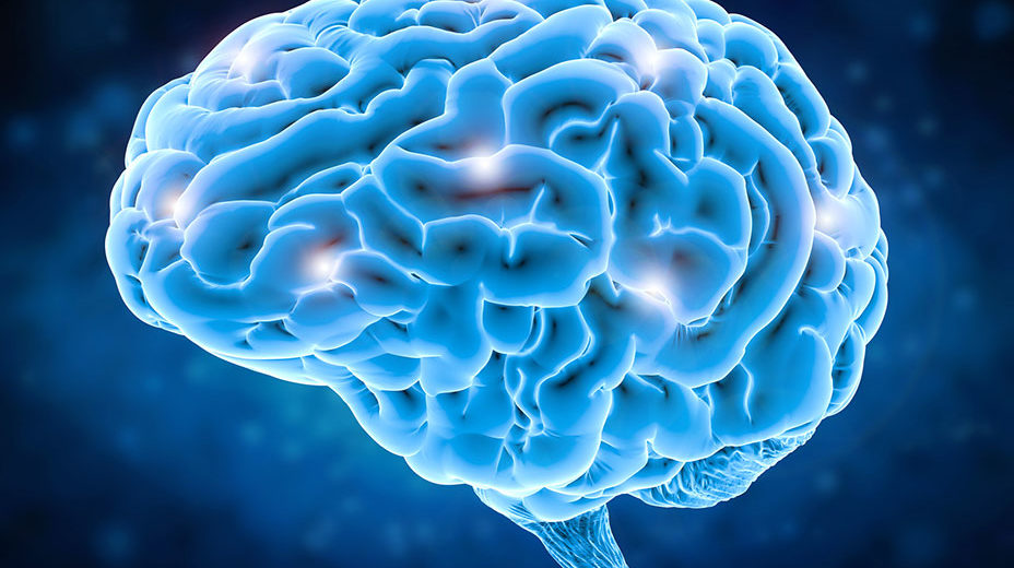 ALS Progression Is Influenced By Gut Bacteria