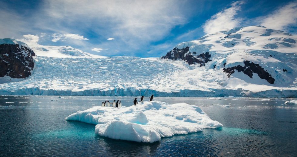 Artificial Snow Might Save Antarctica From Global Warming