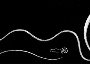 Canadian Researchers Discovered A New Method To Kill Drug-Resistant Parasites