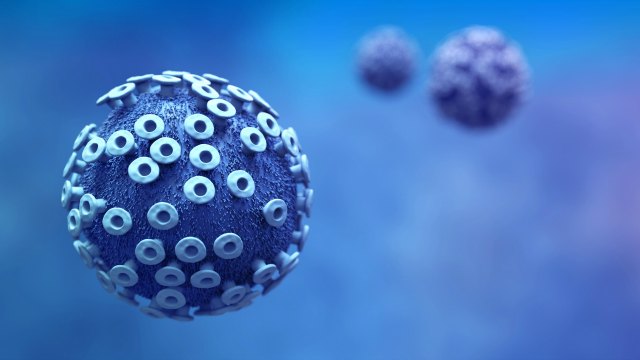 Drug-Resistant Malaria Strain ‘Invades’ South-East Asia