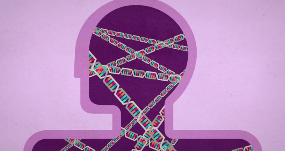 Genetics Influences The Risks Of Autism