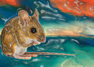 Scientists Produced Hallucinations In Mice Using Light