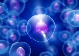 Source of Cell Layer That Hides Stomach Cancer Has Been Discovered