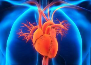 5 important medical checkups you should not ignore