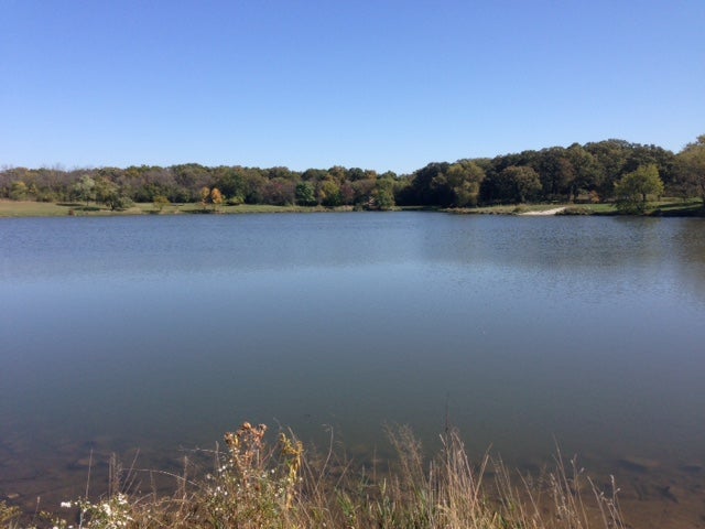Killing Amoeba from the Freshwater Lakes