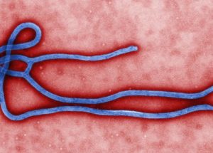 Ebola is no longer incurable, two new efficient drugs have been tested and the results are looking good