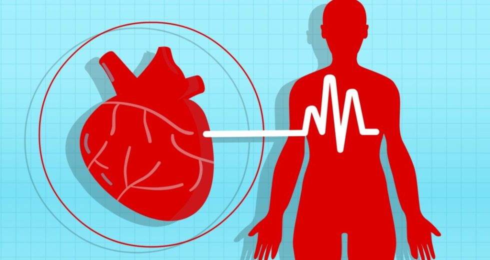 Hypertension During Middle-Age Might Lead To Brain Shrinkage