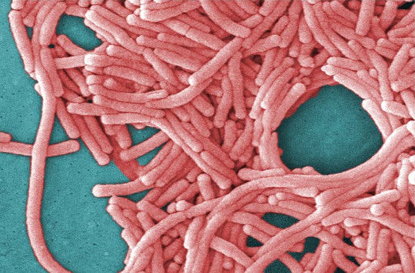 Legionnaires’ disease infects dosins in Atlanta