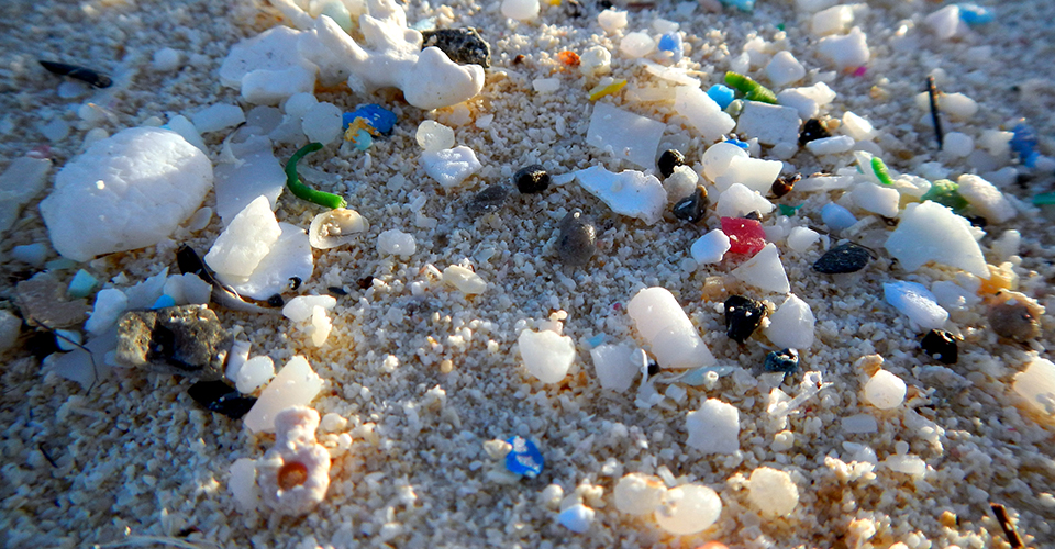 Microplastics: The Dangers of Bottled Water
