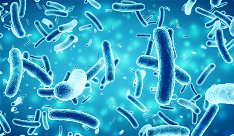 There’s a Possible Salmonella Outbreak at the Southwest Side Grocery Store. What Do Officials Say