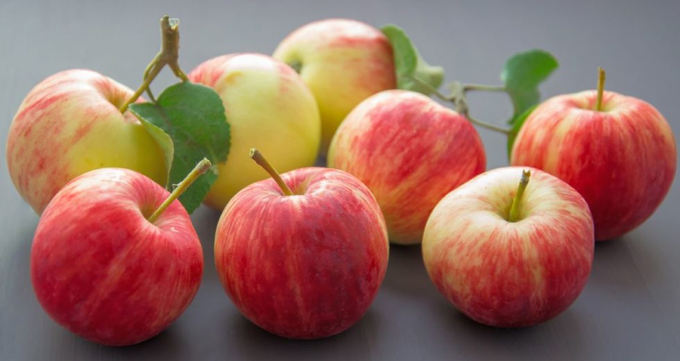 The Best Part of an Apple According to Science